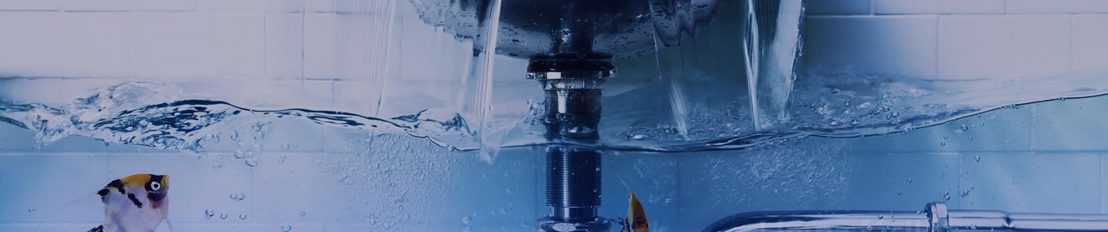 Desentupidora e Limpa Fossa (Muriqui/RJ), desentupidoras rj